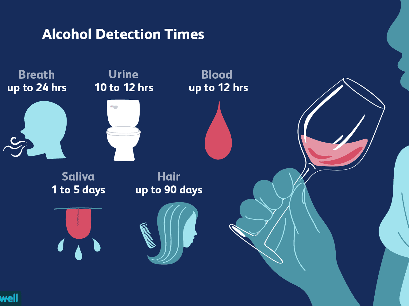 How Long Does it Take Alcohol to Leave Your System