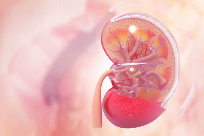 Symptoms of kidney Failure
