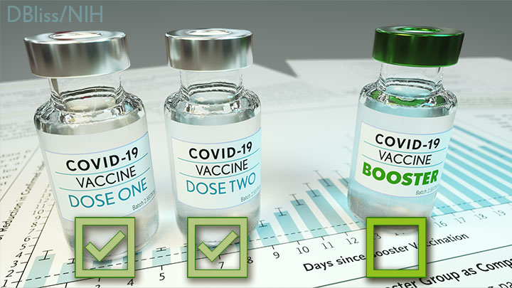Covid Booster Side Effects