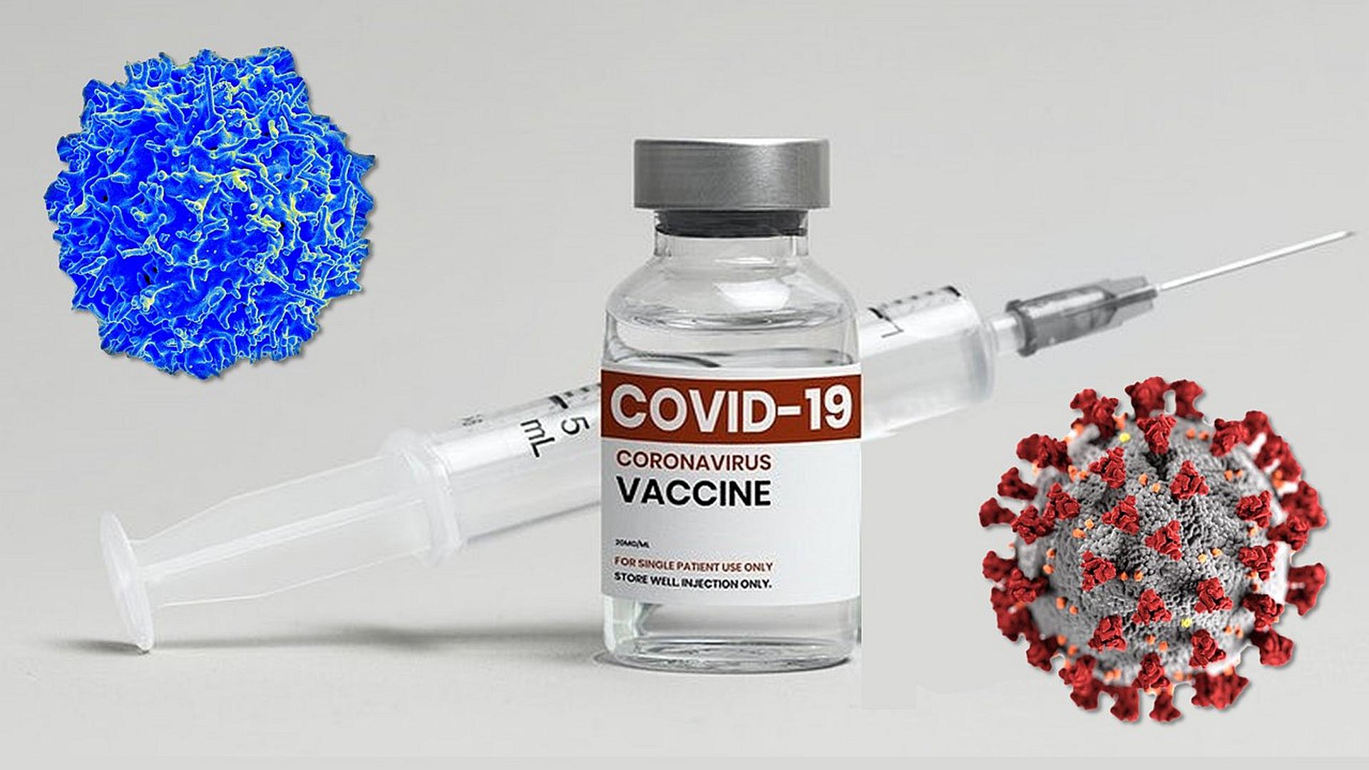 Covid Vaccine Side Effects